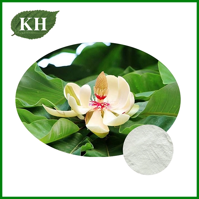 Magnolia Bark Extract Powder Magnolia Bark Extract Powder